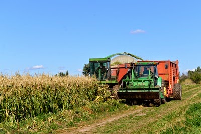 DSC_7736