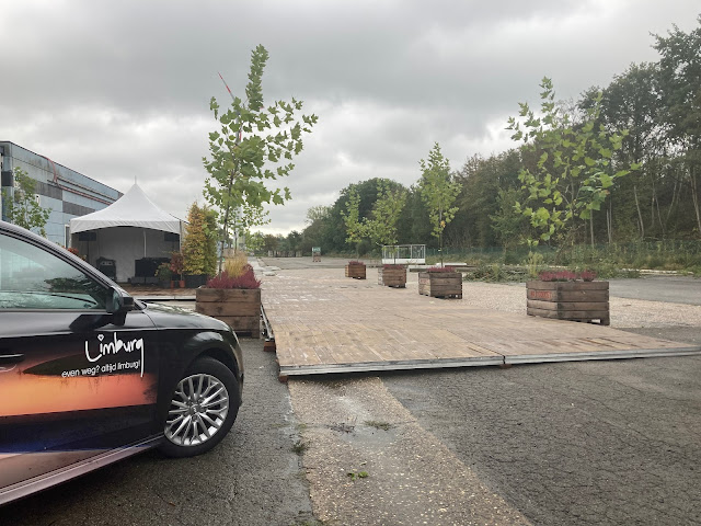 grote bomen in lange hoge plantenbakken kopen of huren