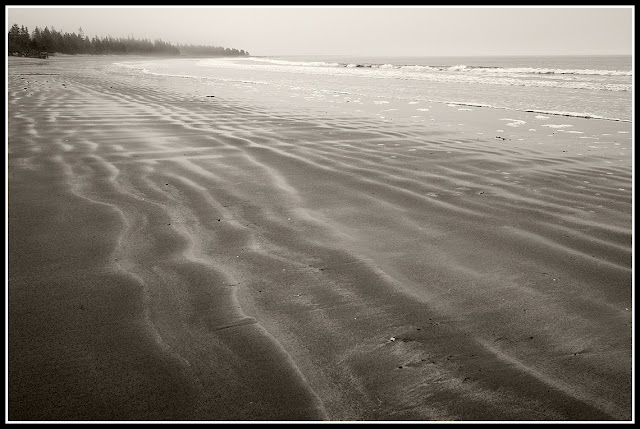 Risser's Beach; Fog; Atlantic Maritimes; Black and White