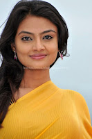 Nikitha, Narayan, Cute, Saree, Photos