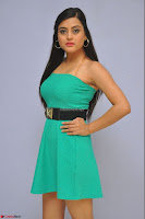 Shipra Gaur in a Strapless Green Short Dress Spicy Pics ~  Exclusive 003.JPG