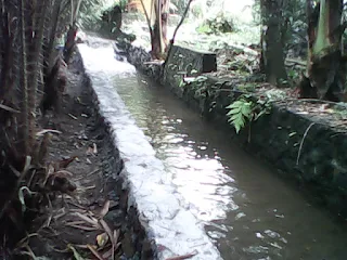 Hari Pangan Sedunia: Petani Pejuang Pangan dan Gizi Bangsaku