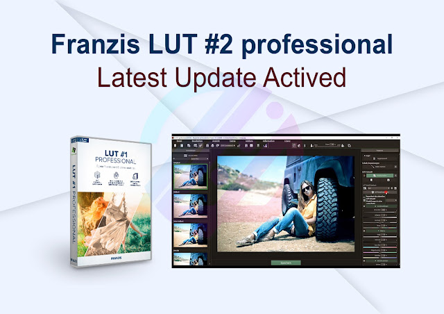 Franzis LUT #2 professional Latest Update Actived