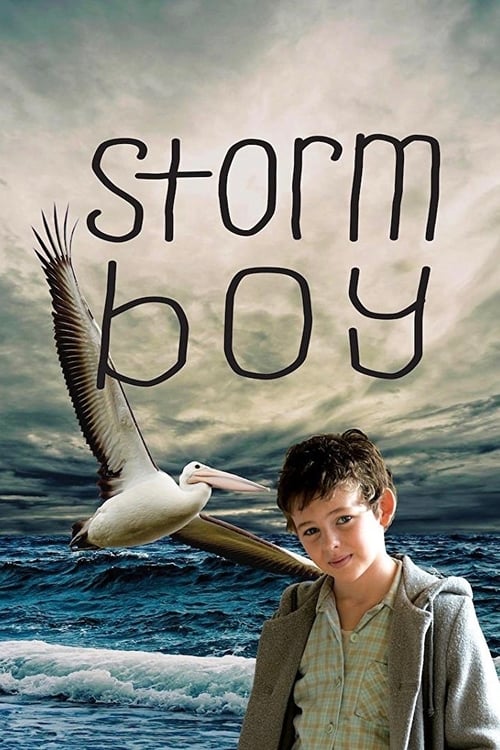 Descargar Storm Boy 2019 Pelicula Completa En Español Latino