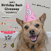 Jada's 9th Birthday Bash Giveaway