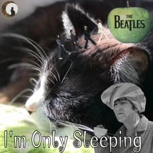 The Beatles - I'm Only Sleeping