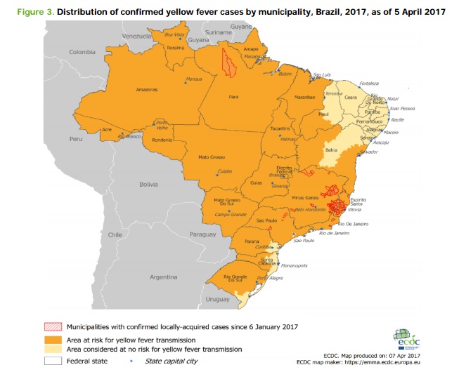 ECDC :  informações atualizadas sobre a  transmissão da febre amarela no Brasil 