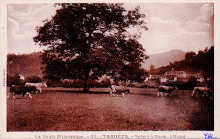 pays basque autrefois vaches