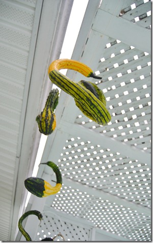 houzz hanging guords amy renea a nest for all seasons