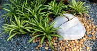 Home-Rock-Garden-Landscaping-Enduring-Beauty-and-Timeless-Elegance