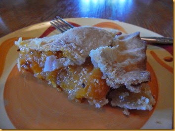 Apricot Pie Slice