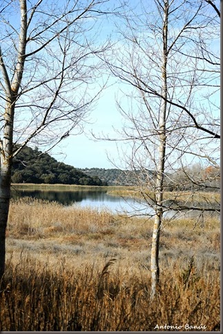 2_DSC1231pX1