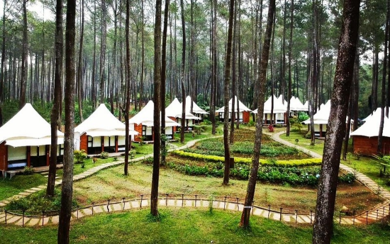 Menggabungkan Kenyamanan Hotel dengan Keindahan Alam di Bandung