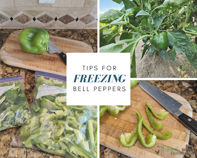 Freezing green peppers is a great way to preserve peppers through the winter months.