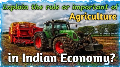the role of agriculture in indian economy