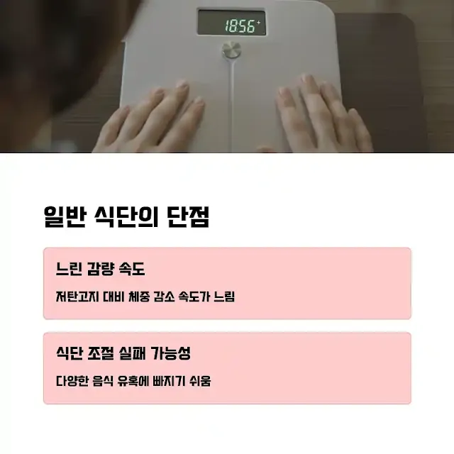 일반 식단의 단점