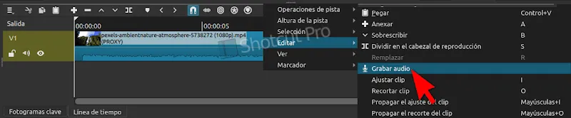 Para iniciar la grabacion de audio hacemos clic en el menu de linea de tiempo > editar > grabar audio