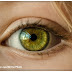 Cientistas descobrem a origem evolucionária de um componente essencial do olho humano
