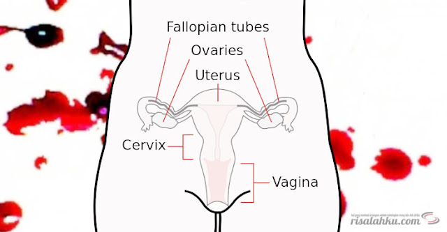 Kita semua niscaya sudah tahu bahwa kebiasaan perempuan bukan hanya masak Memahami Darah Nifas dan Permasalahan di Dalamnya