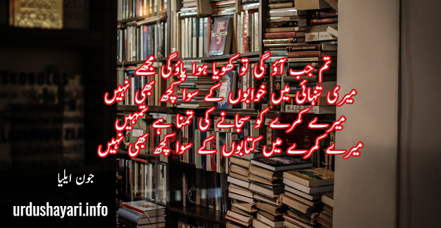 Tum Aao Gi Tou khoya hua pao gi muj mie Tanhai Shayari by Jaun Elia -  4 lines best poetry with image and urdu font