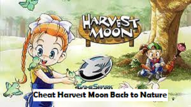 Cheat Harvest Moon Back to Nature