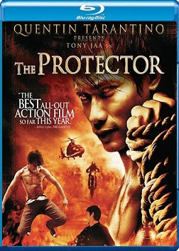 The Protector 2005 Hindi Dual Audio BRRip 480p 300mb