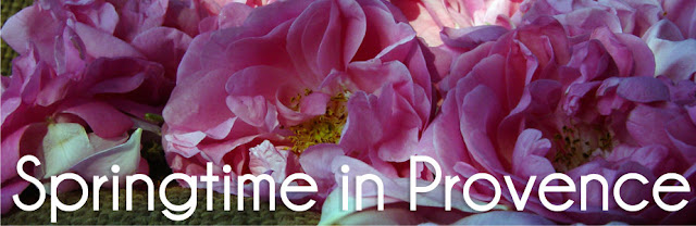 Springtime in Provence - Luxury Small Group Guided Tour