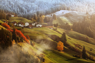 bosque-nevado-y-laderas-verdes