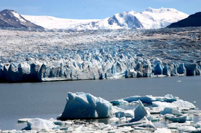 Grey glacier