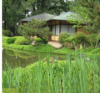 Japanese garden