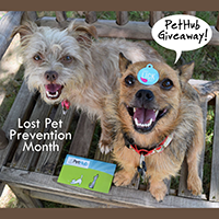 PetHub Lost Pet Prevention Month Giveaway