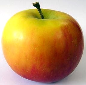 Imagen de la manzana con una pequeña rama