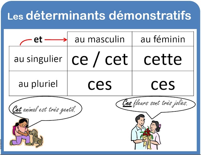 كيفيفة استعمال cette و ce و cet و ces في صياغة الجمل باللغة الفرنسية