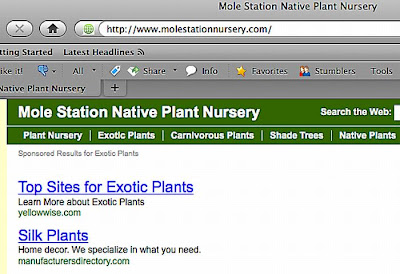 Worst Domain Names Of All Time Seen On www.coolpicturegallery.net