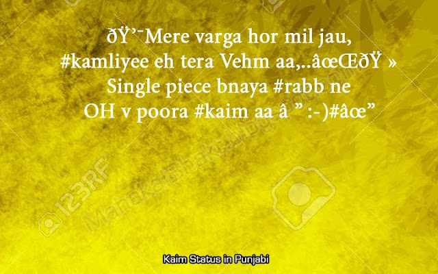 punjabi whatsapp status