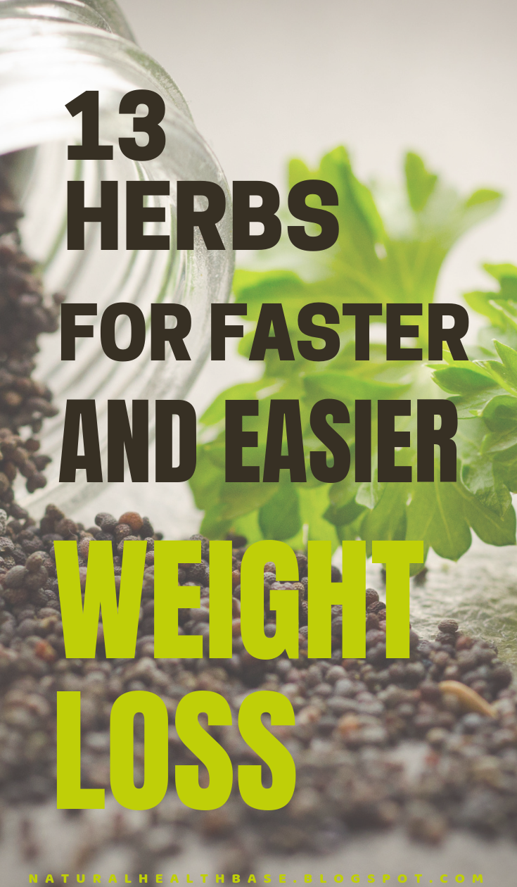13 Herbs For Faster And Easier Weight Loss