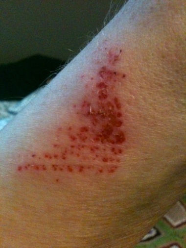 IMG_0635-thumb-2011-05-18-13-32.jpg