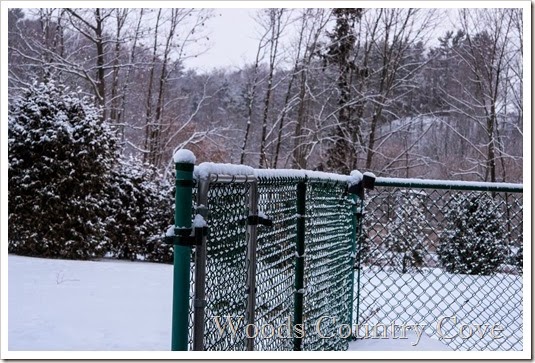  January 2014 (4 of 5)-2