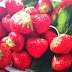 Manfaat strawberry untuk kesehatan