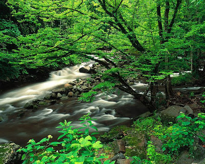 wallpaper natural scenery. nature scenes wallpaper. wallpaper natural scenery.