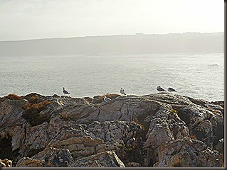 SAM_1259