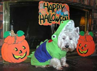 Halloween Dog