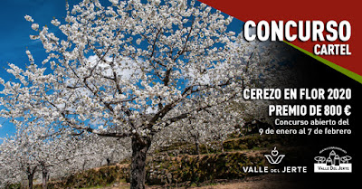 Concurso Cerezo en Flor 2020. Valle del Jerte