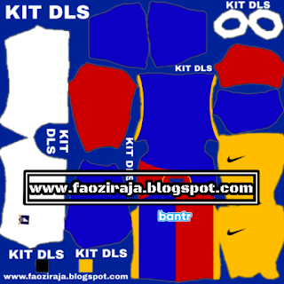 Kit dls Afc richmond