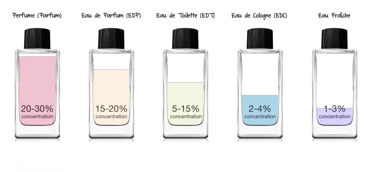 Parfum, Eau de Parfum (EDP), Eau de Toilette (EDT), Eau de Cologne (EDC) and Eau Fraiche (EF)