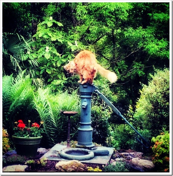 Fullscreen capture 23052014 232343
