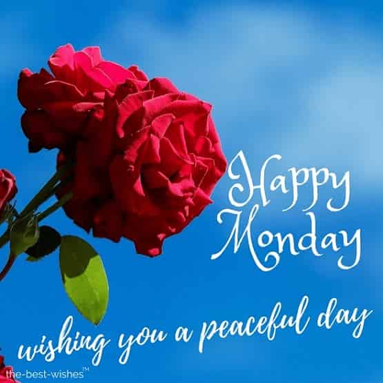 good morning wishing you a peaceful monday