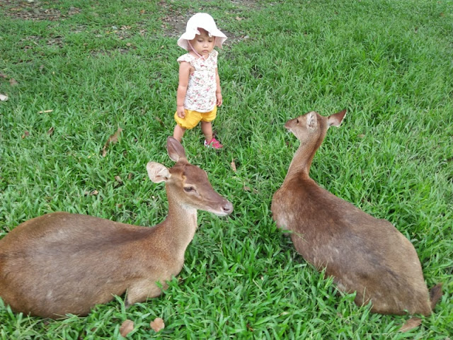 Taman Safari Balekambang