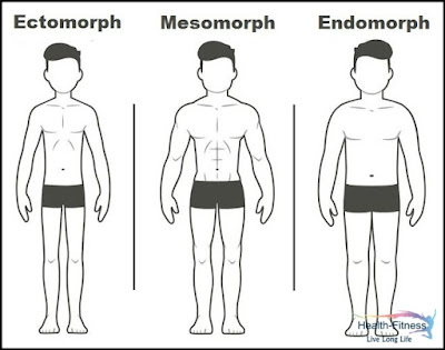 Different Types Of Male Body