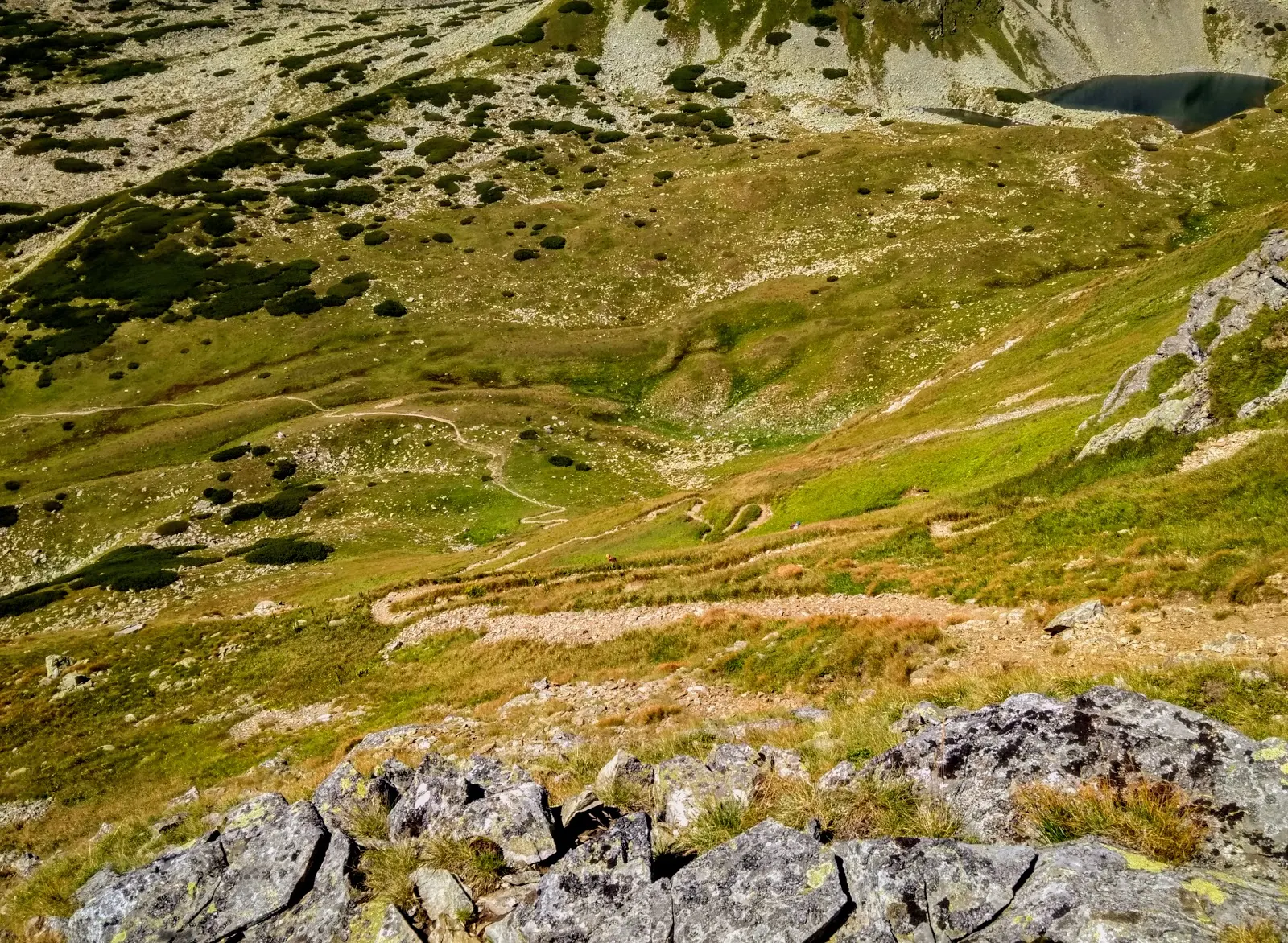 Tatry. Tatry Zachodnie. Główna grań Tatr. Szczyty Tatr. Bystra. Najwyższy szczyt Tatr Zachodnich. Bystra wejście od strony słowackiej. Lato w Tatrach. Łatwe szczyty w Tatrach.